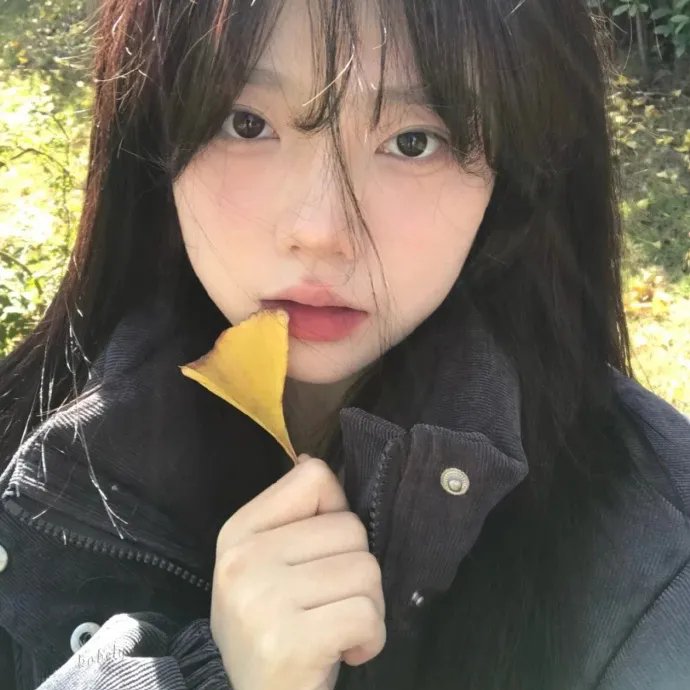巴西风月